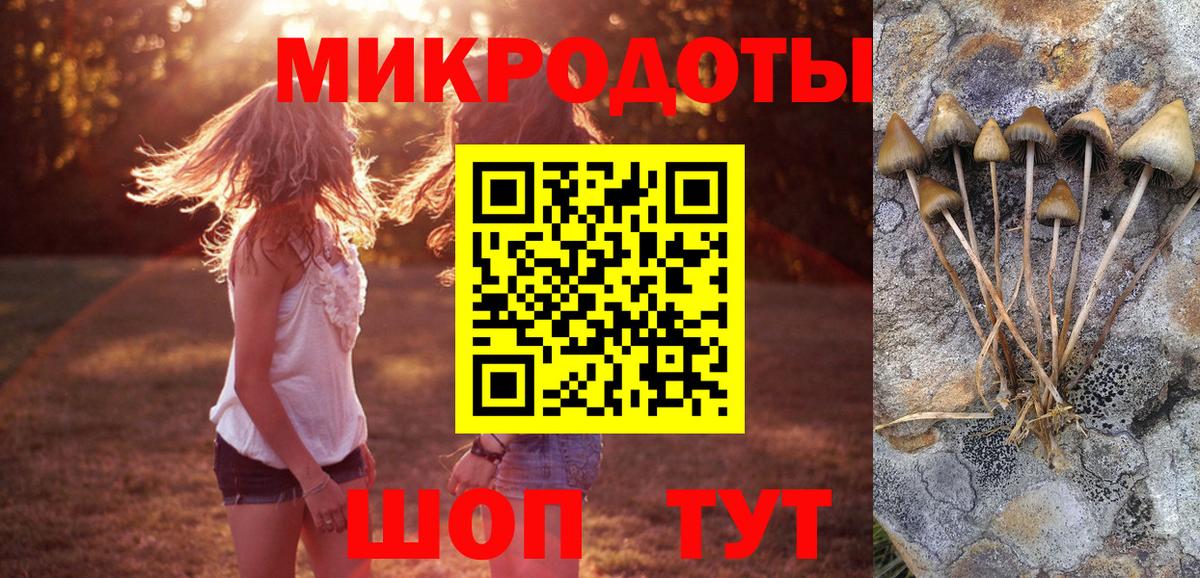 купить наркотик  Псилоцибиновые грибы Magic Shrooms  Вход с VPN  Псилоцибиновые грибы мухоморы  Трёхгорный 