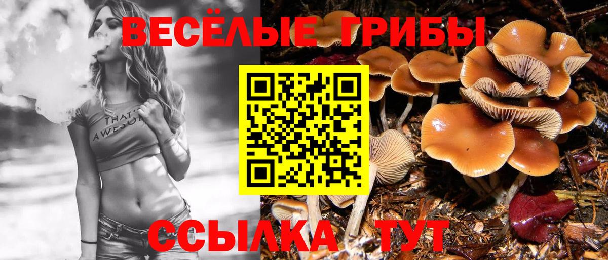 Псилоцибиновые грибы Psilocybe Трёхгорный